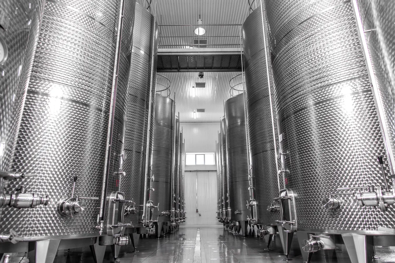 Accompagnement lors de vos vinifications - Image d'illustration