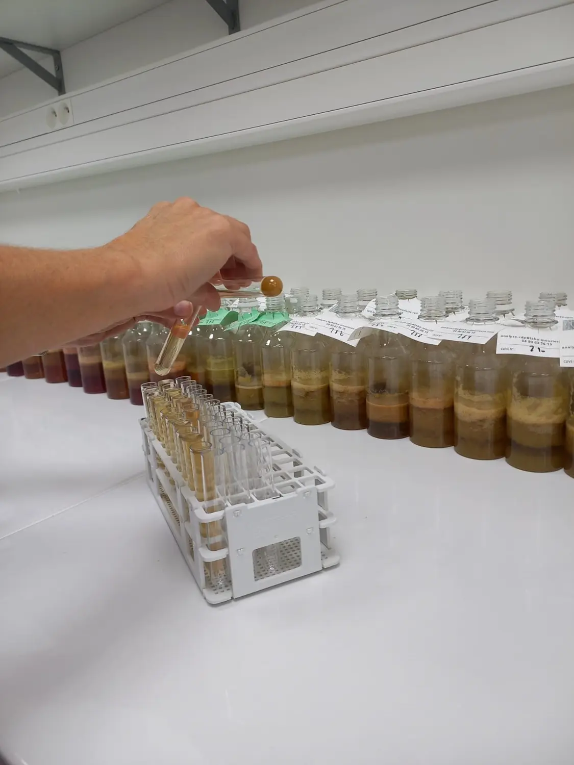 Contrôles de maturité - Image d'illustration