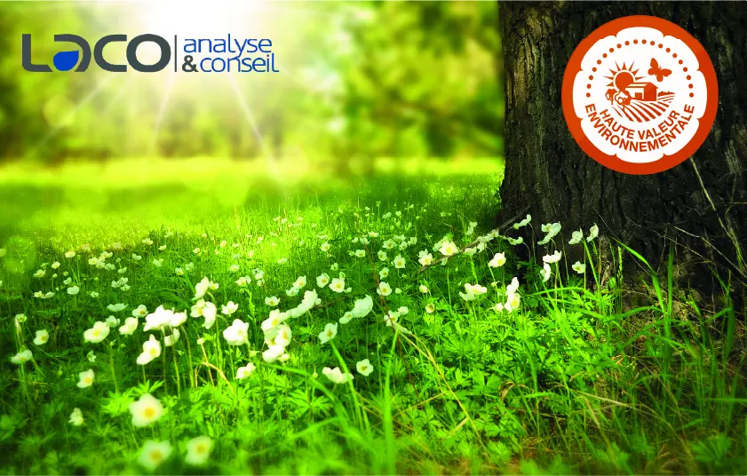 HVE : le crédit d’impôt prolongé en 2024 !