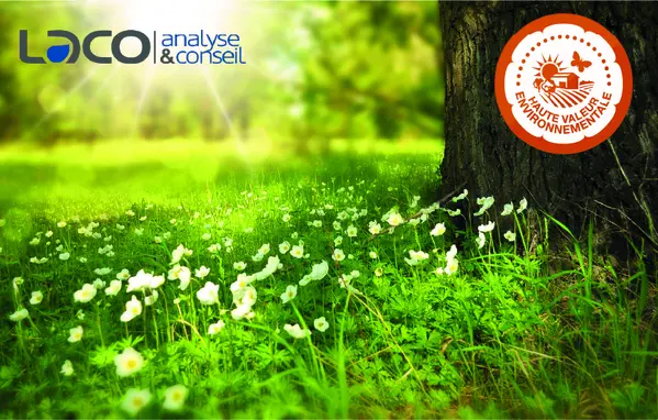 HVE : le crédit d’impôt prolongé en 2024 !